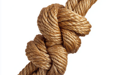 Essential Knots Every Survivalist Should Know