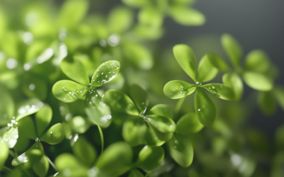Foraging for Survival: How to Harvest and Use Wild Greens